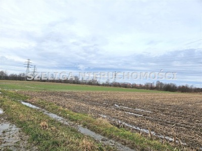 Działka, Gliwice, Bojków, 4900 m²