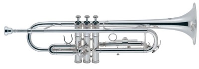 J. MICHAEL TR-300SA TRĄBKA