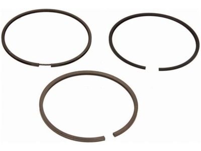 Кільця поршневі renault avantime 2.2 laguna ii 2.2 vel satis 2.2 фото №1