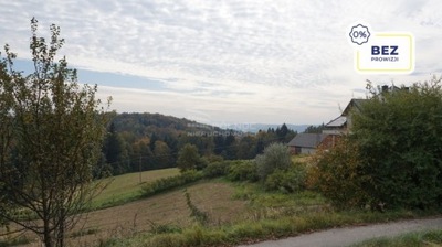 Działka, Dąbrowica, Bochnia (gm.), 1600 m²