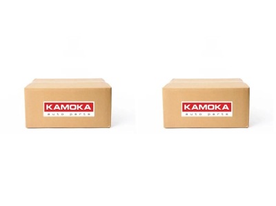 2 PCS. SIDE MEMBERS KAMOKA FRONT LEFT+RIGHT FOR SMART FORFOUR I - milautoparts-fr.ukrlive.com