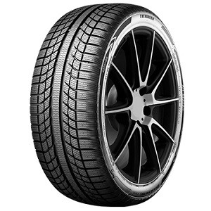 2x Evergreen EA719 XL 205/55R16