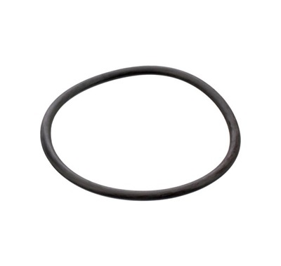 Уплотнительное кольцо уплотнительное кольцо прокладка термостата do vw crafter 2.5 tdi фото №1