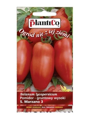 Pomidor gruntowy wysoki San Marzano 3 0,2g PLANTICO