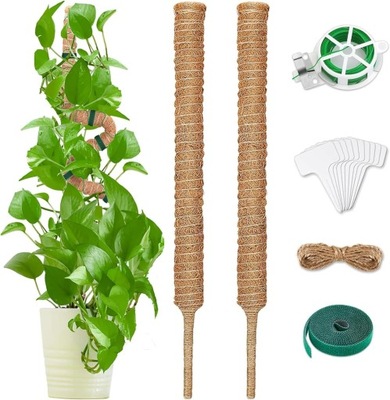 PODPÓRKI DO ROŚLIN BAMBUS 70 cm 2 szt.