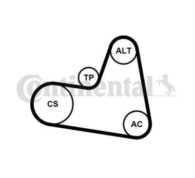 CONTITECH KOMPLEKTAS DIRŽELIO MICRO-V 6PK962K1 