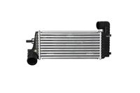 NRF RADUADOR INTERCOOLER FORD TRANSIT CONNECT 09-13  