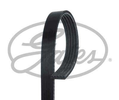 BELT PK GATES 5PK1335 - milautoparts-fr.ukrlive.com