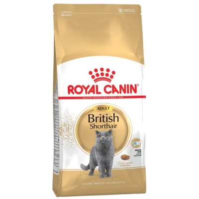 Karma dla kota Royal Canin British Shorthair 10 kg