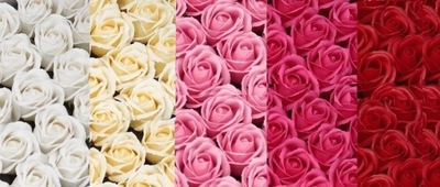 AwGifts_Sada umývateľných ruží MIX farieb