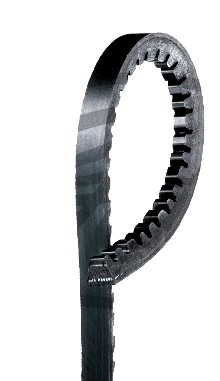 BELT WEDGE 10X825 ALFA ROMEO 145 1.4-1.7 1994  