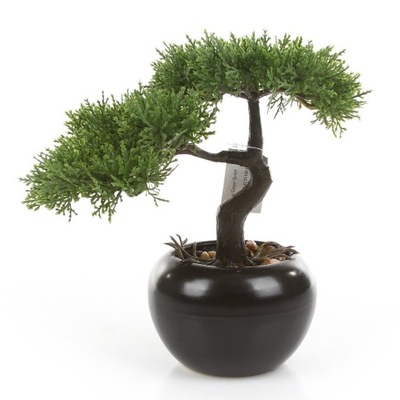 dekoracyjne sztuczne drzewko iglaste BONSAI Cedr 25 cm w czarnej doniczce