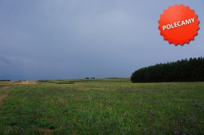 Działka, Lisia Góra, 4000 m²