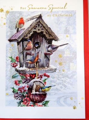 Kartka świąteczna dla kogoś specjalnego ptaki 20x14cm