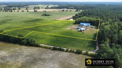 Dom, Waliły Dwór, Gródek, Białostocki, 225 m²