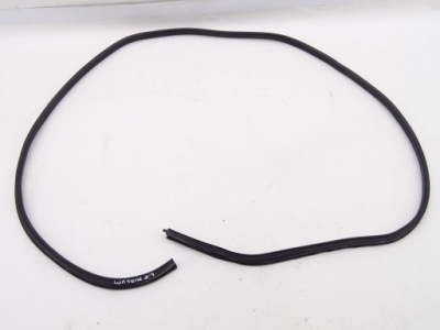 Renault midlum 00-06 прокладка двері кабіни лівий перед фото №1