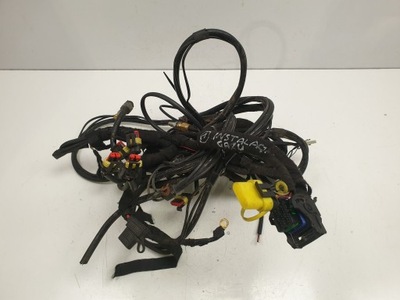 Електропроводка газова джгут 4 циліндри фото №1