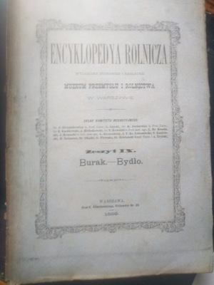 Encyklopedya Rolnicza 9 Burak Bydło 1889 litografie