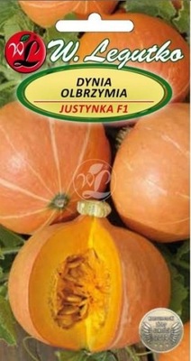 DYNIA OLBRZYMIA JUSTYNKA MIESZANIEC F1