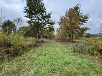 Działka, Sułkowice, Chynów, Grójecki, 3200 m²