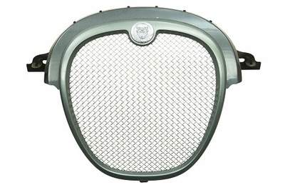 Решітка радіатора решітка радіатора jaguar s-type lift фото №1