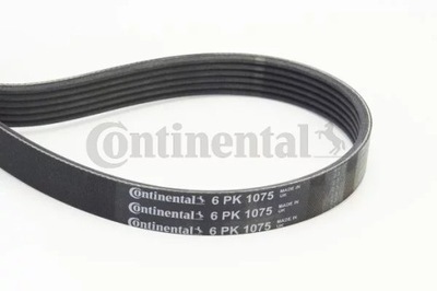 CONTINENTAL CTAM CON 6PK1075 BELT W/KLINOWY  