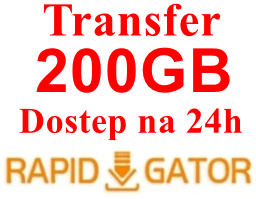 RAPIDGATOR.NET RG.TO 24H KONTO PREMIUM ORYGINALNE LIMIT 200GB