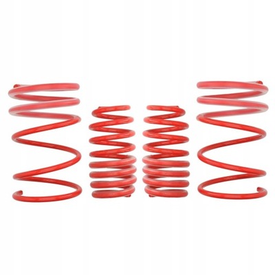 Eibach e20-40-001-01-22 набор подвеска, пружины фото №1