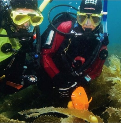 eLearning na kurs nurkowania PADI Dry Suit Diver