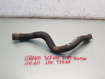 Wąż труба wody renault grand scenic iii 1.5 dci фото №1