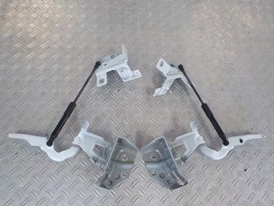 Trafic iii 15- петли капот перед фото №1