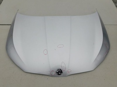 Skoda scala 19- капот фото №1