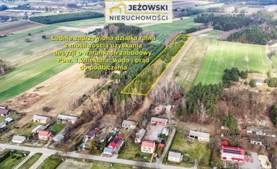 Działka, Trzciniec, Chodel (gm.), 12000 m²