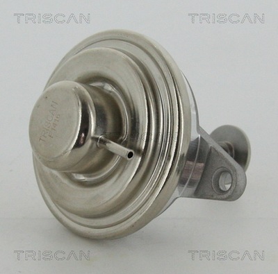 TRISCAN 8813 24054 КЛАПАН ЕГР