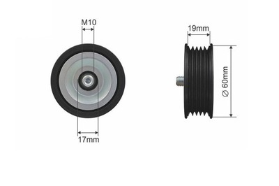 ROLLO TENSOR CORREA WIELOROWKOWEGO  