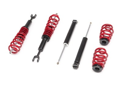 SUSPENSION SCREWED AUDI A4 B7 8E RACELAND  