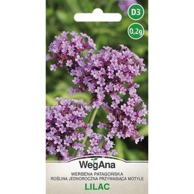 WEGANA Werbena patagońska Lilac 0.2g