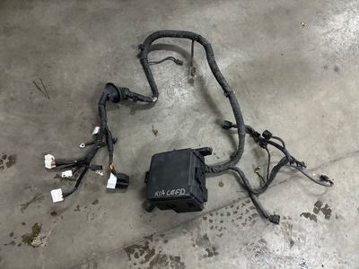 Коробка запобіжників корпус kia ceed i lift бензин фото №1