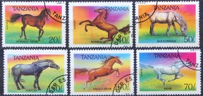 TANZANIA - 1993 - KONIE