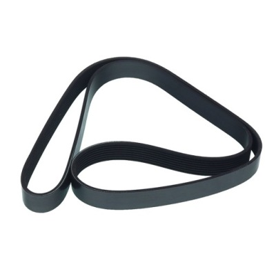 Ремінь багатореберний 8pk1555 rvi t/c/k, vo фото №1