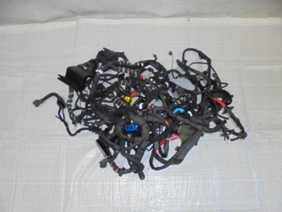 Электропроводка кузов kpl alfa romeo stelvio 2.0 фото №1