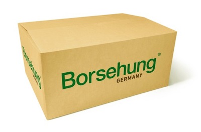 ФОРСУНКА ОМИВАЧА BORSEHUNG B11524 6E0955985 VW