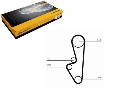 CORREA DISTRIBUCIÓN PORSCHE 924 944 2.5 2.7 06.81-07.91 CONTINENTAL CTAM  