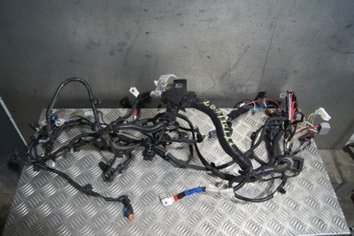 Джгут двигуна 1.0 tce 240115340s фото №1