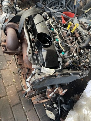 Двигун ford transit 2,2tdci p8fa qvfa фото №1