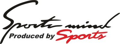 SPORT MIND SPORTS - 2 PEGATINAS - 40 X 15 CM  