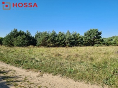 Działka, Serock, Serock (gm.), 800 m²