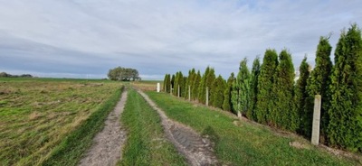 Działka, Banie (gm.), 1000 m²