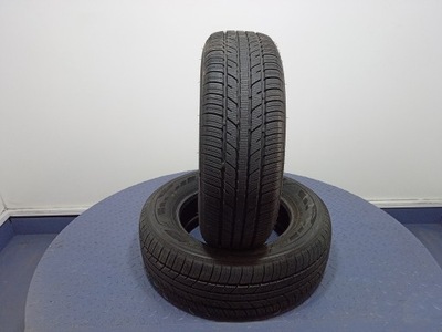 NEUMÁTICOS DE INVIERNO ZEETEX WP1000 205/65 R15 99H XL 2 PIEZAS  