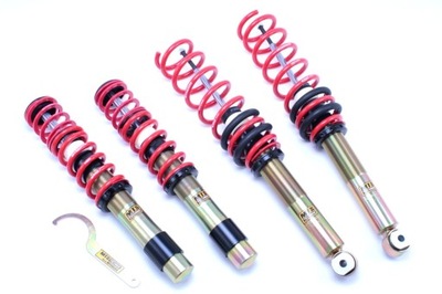 SUSPENSION SCREWED SCREW BMW E39 SEDAN MTS TECHNIK BLACK GOLD EIBACH  